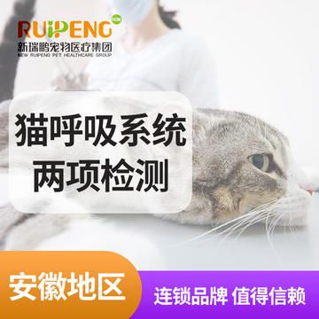 【安徽阿闻】猫呼吸系统PCR核酸检测 猫呼吸系统两项（PCR核酸检测）